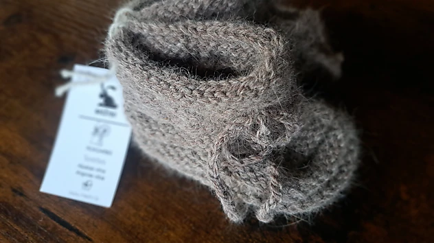 Brūni zīdainu zābaciņi